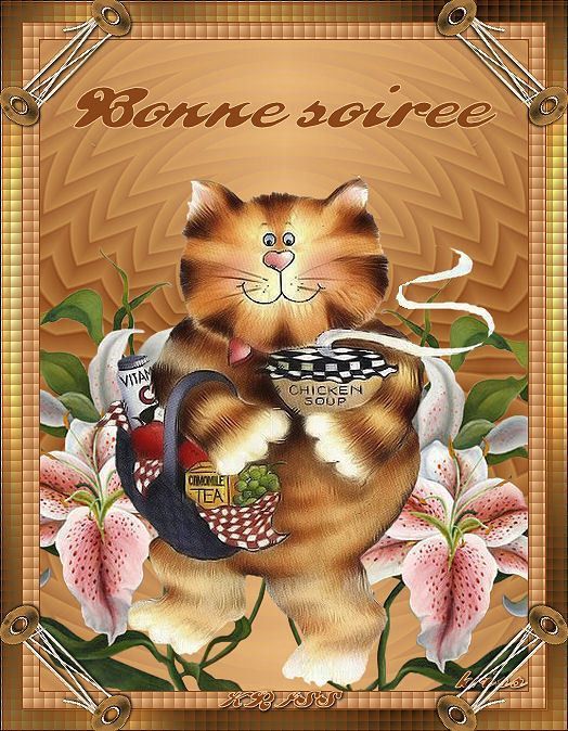 Gif Bonne Soirée & Bonne Nuit