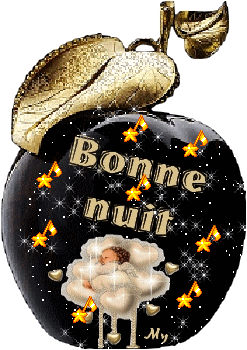 Bonne soirée, Bonne nuit