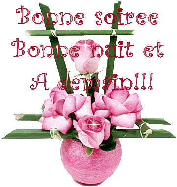 Bonne soirée, Bonne nuit