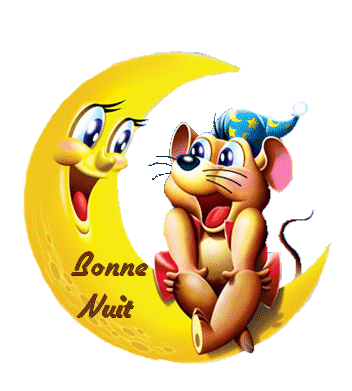 Bonne soirée, Bonne nuit